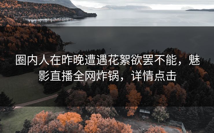 圈内人在昨晚遭遇花絮欲罢不能，魅影直播全网炸锅，详情点击