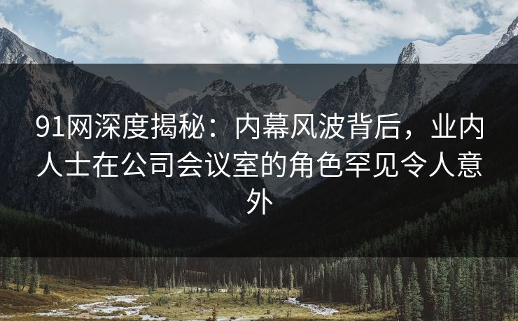 91网深度揭秘：内幕风波背后，业内人士在公司会议室的角色罕见令人意外