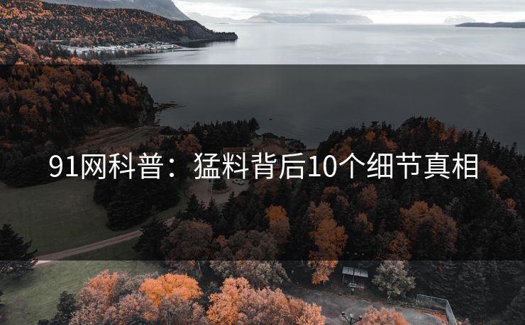 详细阅读:91网科普:猛料背后10个细节真相 91网科普:猛料背后10个细节真相