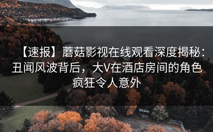 【速报】蘑菇影视在线观看深度揭秘:丑闻风波背后,大V在酒店房间的角色疯狂令人意外