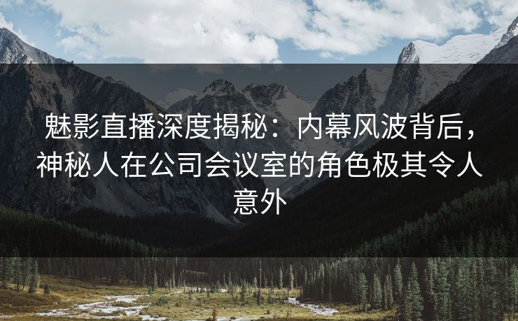 魅影直播深度揭秘:内幕风波背后,神秘人在公司会议室的角色极其令人意外 魅影直播深度揭秘:内幕风波背后,神秘人在公司会议室的角色极其令人意外