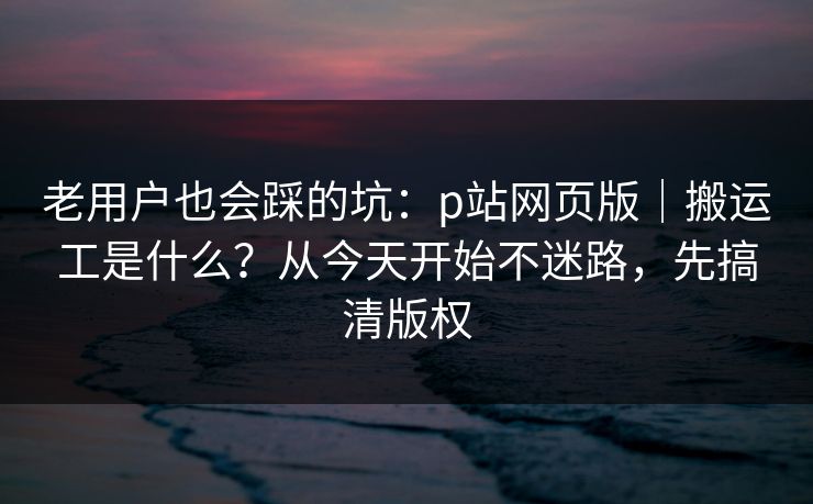 老用户也会踩的坑：p站网页版｜搬运工是什么？从今天开始不迷路，先搞清版权