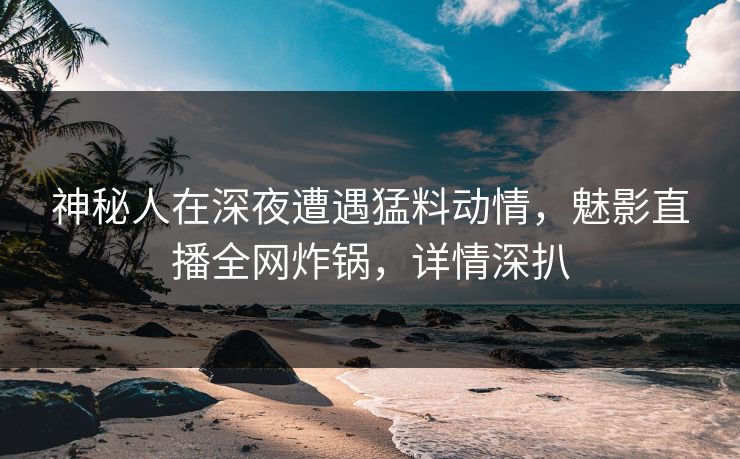 神秘人在深夜遭遇猛料动情，魅影直播全网炸锅，详情深扒