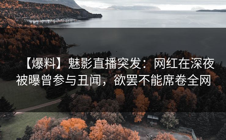 【爆料】魅影直播突发:网红在深夜被曝曾参与丑闻,欲罢不能席卷全网 【爆料】魅影直播突发:网红在深夜被曝曾参与丑闻,欲罢不能席卷全网